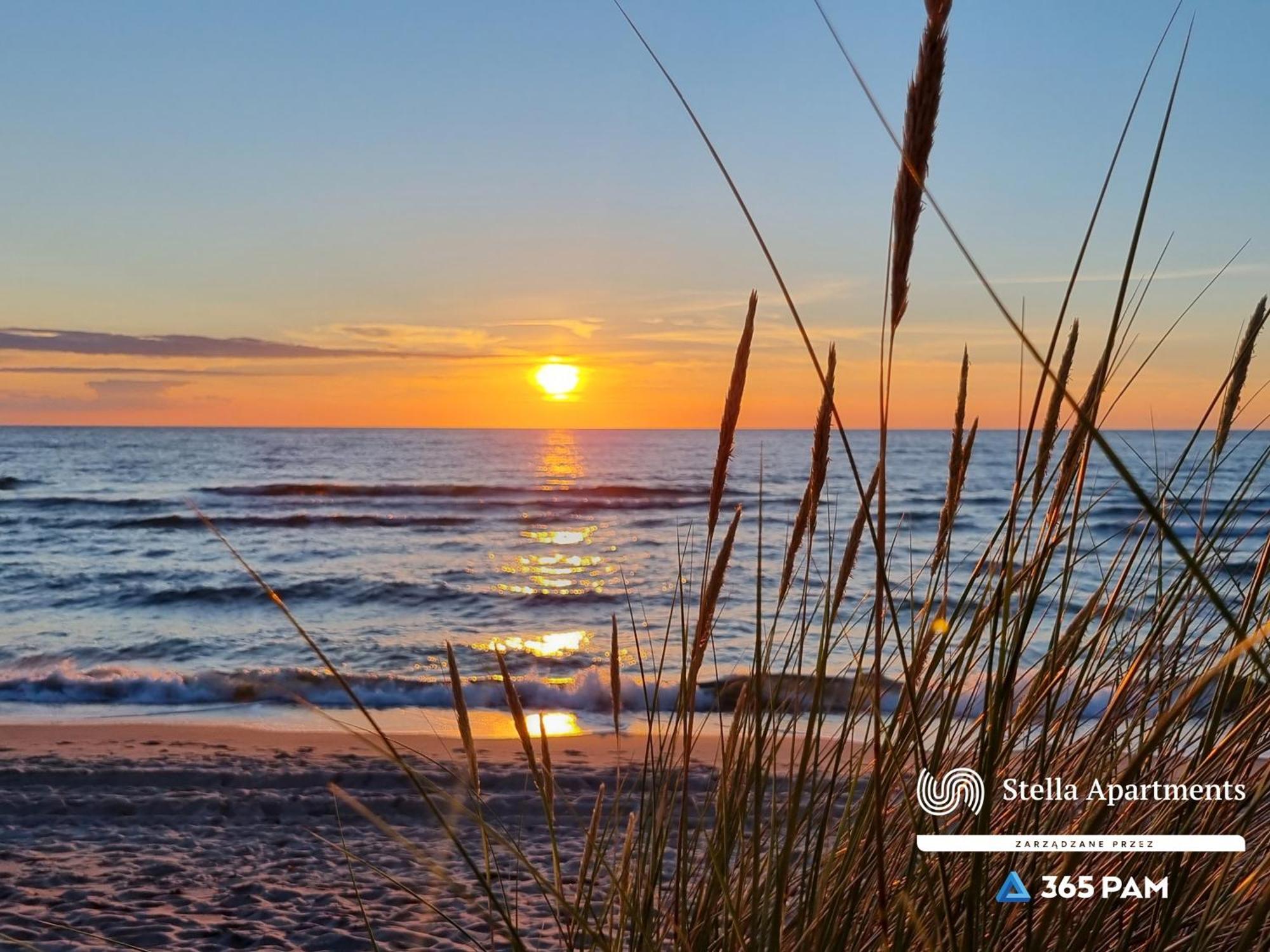 Summer Loft Baltic 41 Z Dostepem Do Bawialni - 365Pam 우스트 노리 모르스키 외부 사진